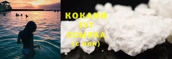 гашик Нефтекумск