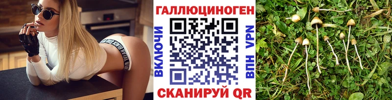 Галлюциногенные грибы Psilocybine cubensis  blacksprut зеркало  Гаджиево 